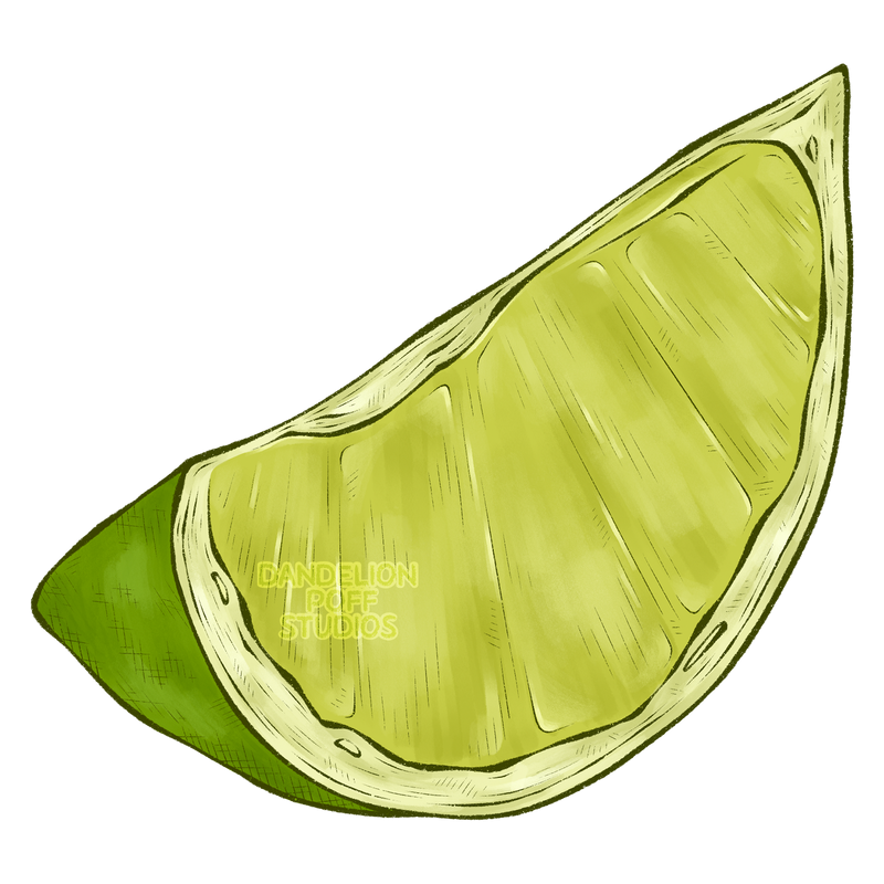 Cross section lime slice illustration
