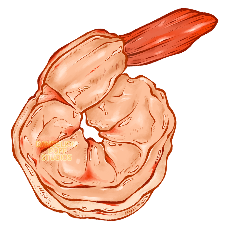 Curled up shrimp illustration