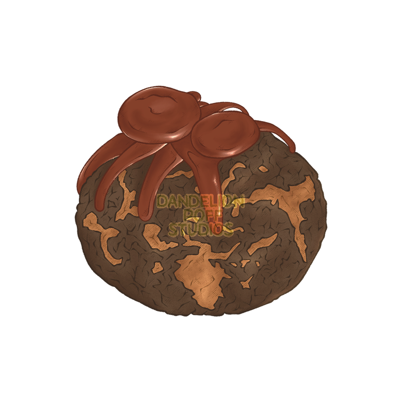 Itsy bitsy spider pastry illustration