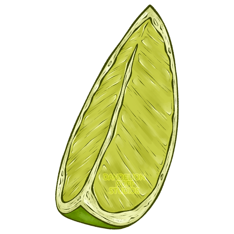 Lime slice illustration