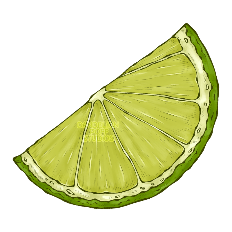 Side lime slice illustration